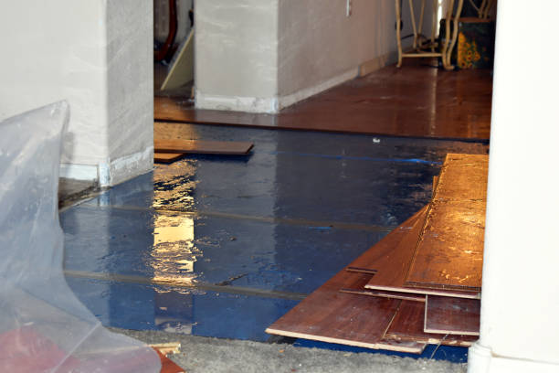 Professional Water Damage Restoration technician working in Millstadt, IL